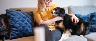 Hunden Leyla har fått Felicia att må bra