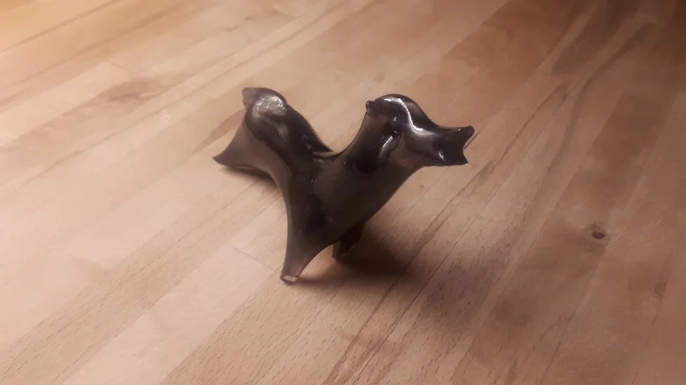 Stackars hunden från Rejmyre är trots allt på gott humör inför 2020.