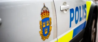 Polishund sökte efter misstänkt containertjuv