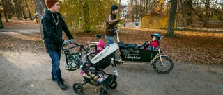 Gammal koloniträdgård får nytt liv