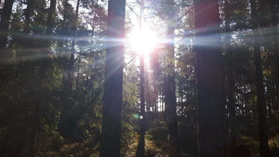 Ostadigt väder väntas till helgen.
