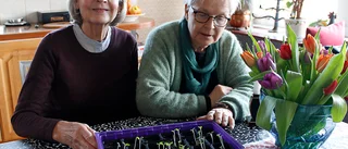 Trädgårdsvänner laddar för ny säsong