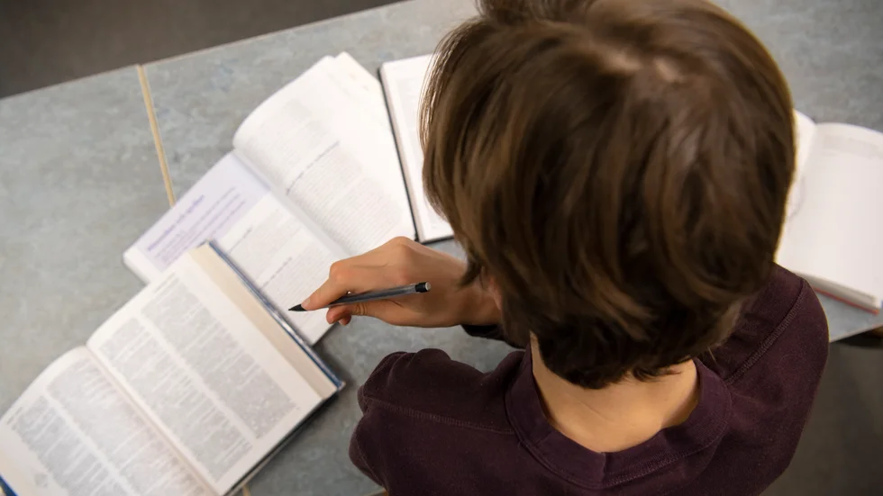 Piteå kommun tvingas lämna ut alla grundskoleelevers åtgärdsprogram, detta till en kvinna i södra Sverige som begärt ut dem.