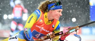 Svidande kritik från revisorerna