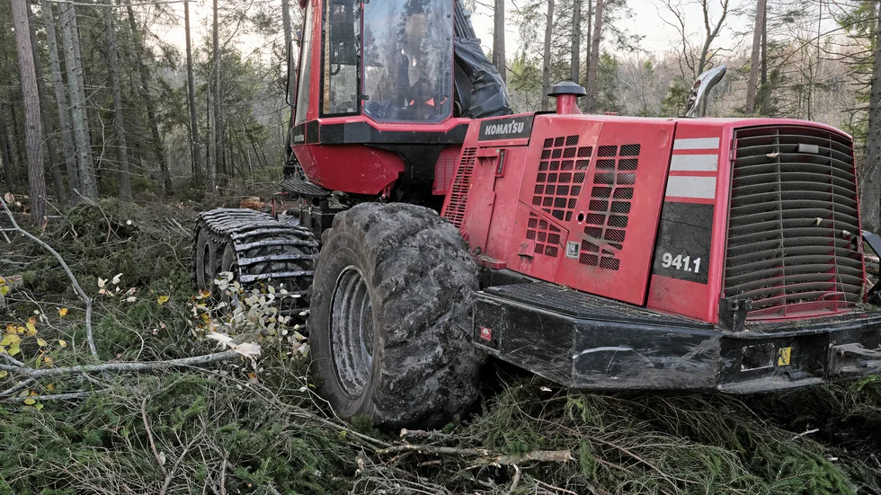 Använd mer biomassa från skogen. I dag lämnas stora mängder skördeavfall kvar i skogen efter avverkning. Resterna bryts ned och släpper från sig koldioxid till ingen nytta.
