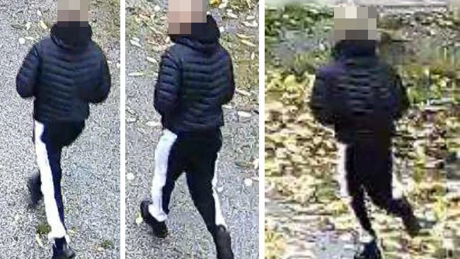 Den 23 oktober 2019 filmades en person som flydde efter ett inbrottförsök i en villa i Södertälje. Enligt polisen är det den nu åtalade 29-åringen som syns på bilderna.   