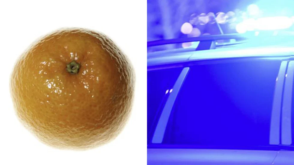 En 47-årig man har dömts för att bland annat ha stulit två clementiner. 