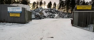 Så mådde husdjuren under smällandet