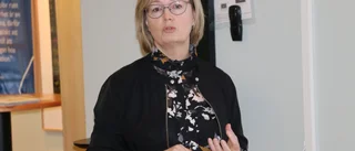 Besöksnäringen en växande sektor