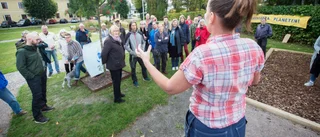 Klimatstrejken har nått Gnesta och Trosa