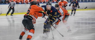 Hedlund: "Vi vet att vi är underdogs"  
