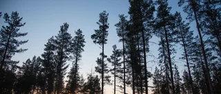I det statliga förrådet finns resurser