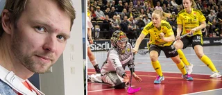 Endre värvar tidigare Visby IBK-spelare