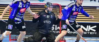 Sirius nollat och överkört av Dalen