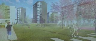 Därför är det brist på havregryn i affärerna