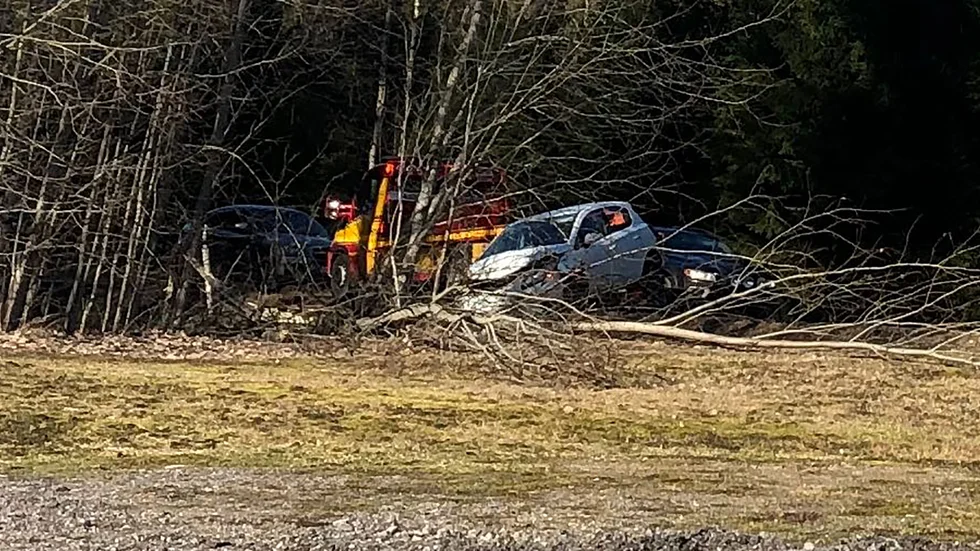 En bil blev demolerad efter att ha kraschat in i ett träd vid Ingvaldstorp under fredagen.