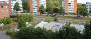 Fastighetsägaren tror på flerbostadshus
