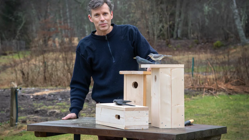 Biologen Per Bengtson med fågelholkar för tornseglare (den minsta), starar (i mitten) och göktyta.

