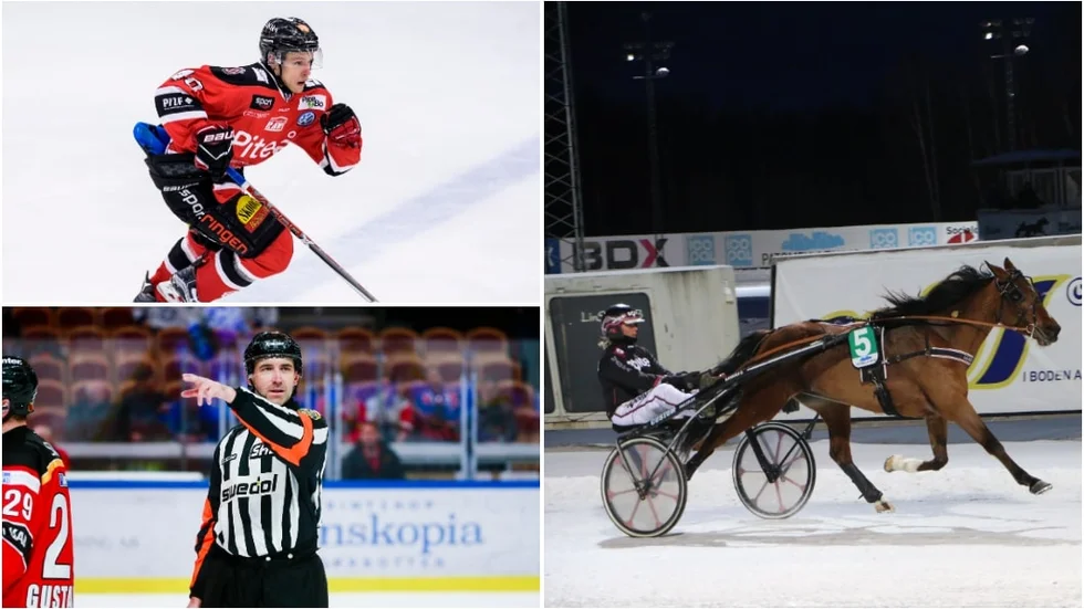 Tjugo andelar gav ett V75-system för 3000 kronor.
