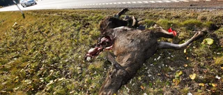 Olycksdrabbade vägsträckor ska kartläggas
