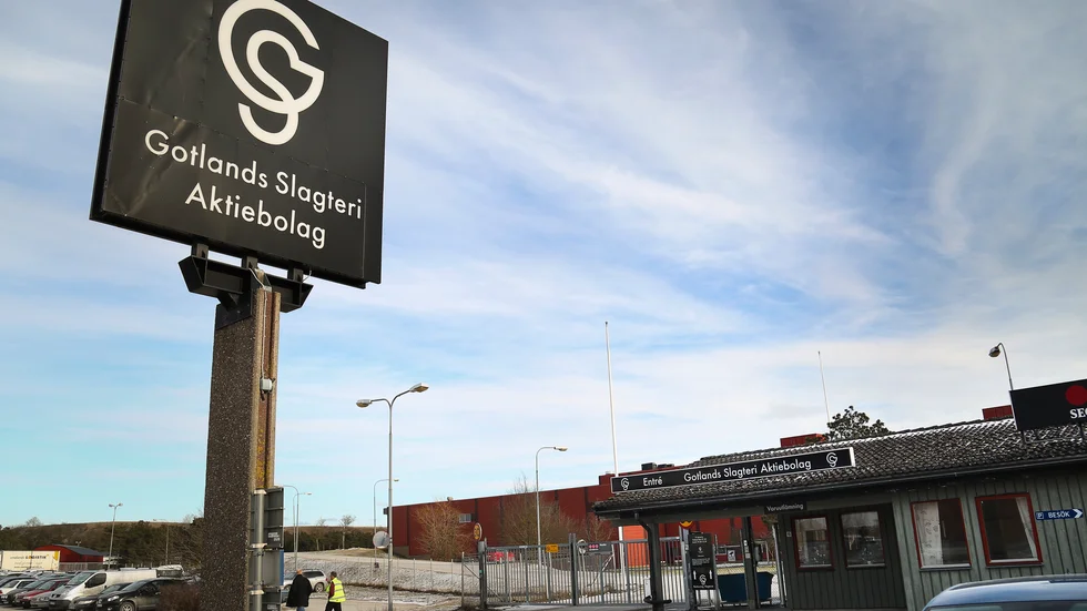 Det saknas volym för att slakta fem dagar i veckan på Gotlands slagteri. Nu ska ett nytt arbetsschema förhandlas.