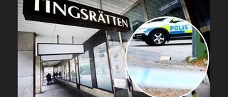 Efter skotten: Polisen hyllar vittnets mod