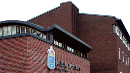 Kalmar Tingsrätt har häktat den man som misstänks för en våldtäkt i Hultsfred för snart ett år sedan. Mannen har varit efterlyst internationellt och greps nyligen i Paris. "Bevisläget är gott", säker åklagare Patrick Sonevang.