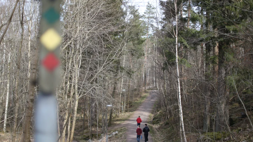 Människor joggar och promenerar i motionsspår som utgår från Skatås motionscentrum utanför Göteborg.