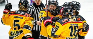Luleå MSSK har kopplat greppet