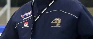 Ny rysare för Visby Roma i Hockeyettan
