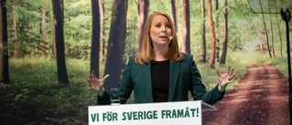 C justerar migrationspositionen