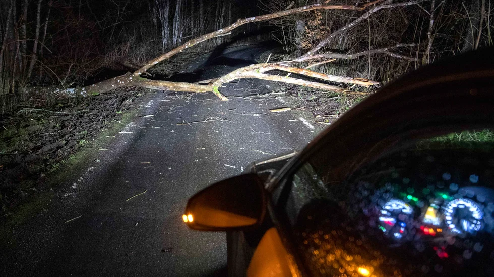 De stora elbolagen har kallat in extra personal för att klara att ta hand om träd som fallit ned över elledningarna. Den här bilden visar Ciaras framfart i  Ekeröd i Skåne på söndagskvällen.