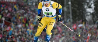 Nelins bästa lopp i världscupen