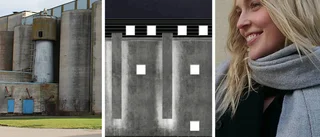 Arkitektstudentens exjobb: idéer för silon