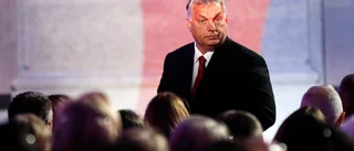 Populismens ursprung är långt ifrån entydigt