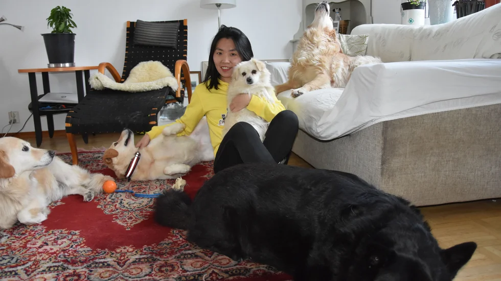  Honey från Spanien, svarta hunden heter Hagrid och är från Rumänien, Niuniu från Turkiet ligger på soffan. Yaya från Rumänien ligger på rygg och Li Hua håller LingLing från Kina.