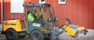 Fräsig gubbe röjer bort stubbar