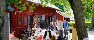 Fjärdhundraland kan vinna Stora Turismpriset