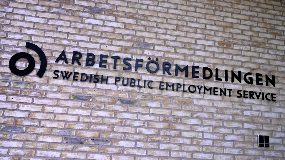Problemen för Arbetsförmedlingen är resultatet av ett kollektivt politiskt haveri. 