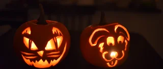 Smittskyddsenheten: Så ska du fira halloween