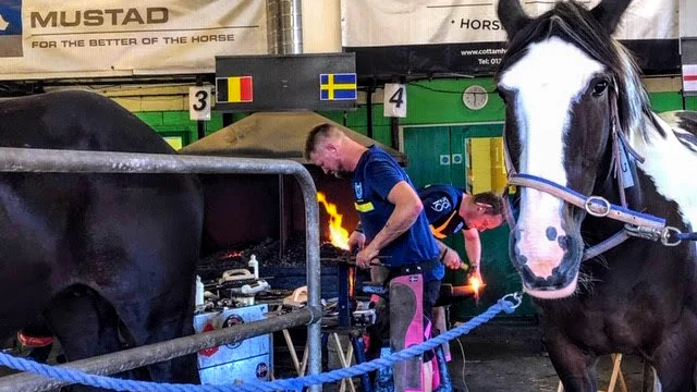 Fredrik Strange fokuserade under tävlingsmomenten. 