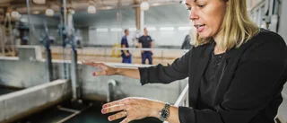 Dalälven kan bli Uppsalas nya vattentäkt