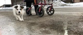 Kommunen går back på vinterväghållningen