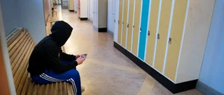 Skolan viktig del i kamp mot gängkriminalitet