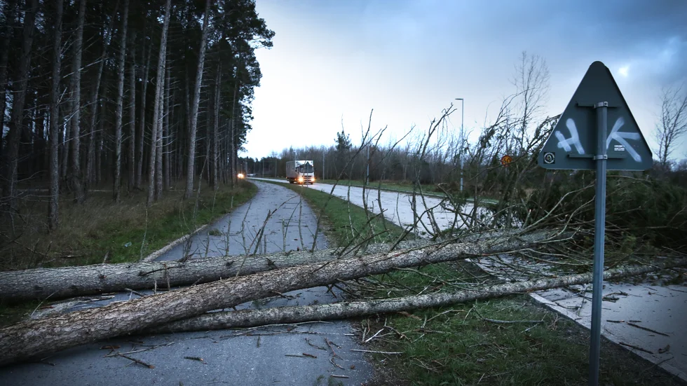 Träd kan blockera framfarten både medvetet och pga av väder.
