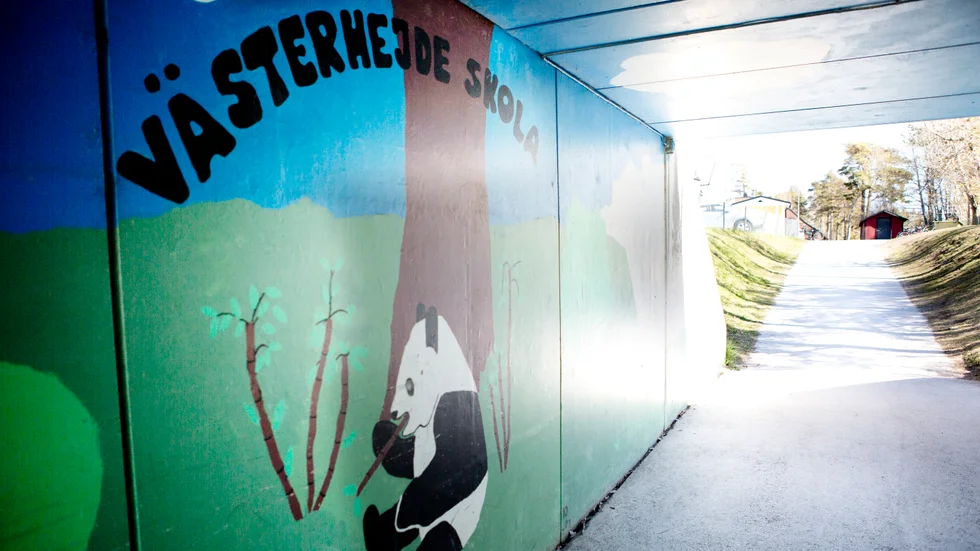 "Det märkliga är att när Socialdemokraterna alldeles nyligen faktiskt styrde här på ön så var det helt andra signaler som sändes ut. (---) Föräldrar skickade barn till skolan med Alvedon i fickan för att luften var så usel i Västerhejdeskolan". 