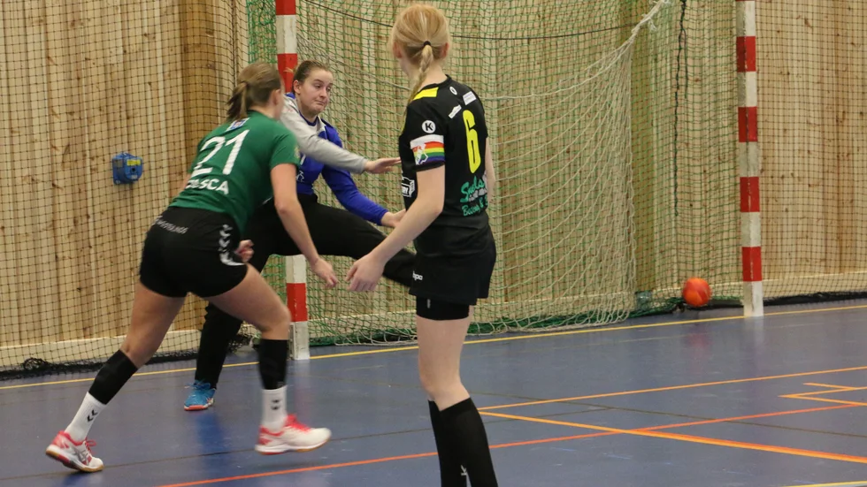 Norrfjärden gjorde hygglig insats mot Härnösand, men seriefavoriten var några nummer för stora. (Arkivbild)