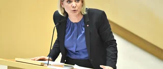 Stänkmålad statsbudget sprider skattemedlen