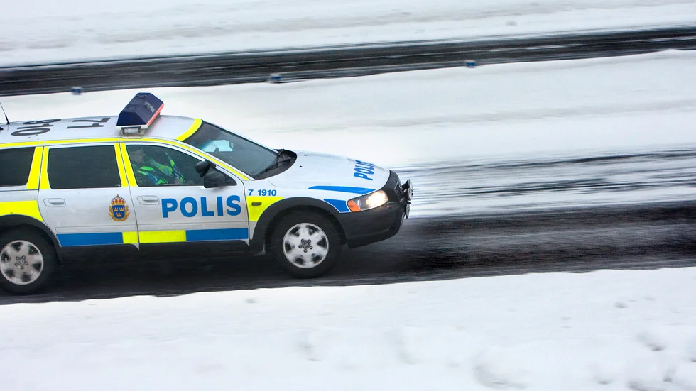 Viltolyckor på torsdagens morgon.