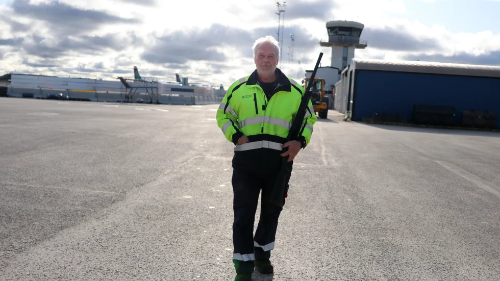 Leif Jacobsson är en av skyddsjägarna på Visby flygplats. Men det hör till ovanligheterna att man tvingas skjuta djur som hotar flygsäkerheten, det är den sista åtgärd man tar till.